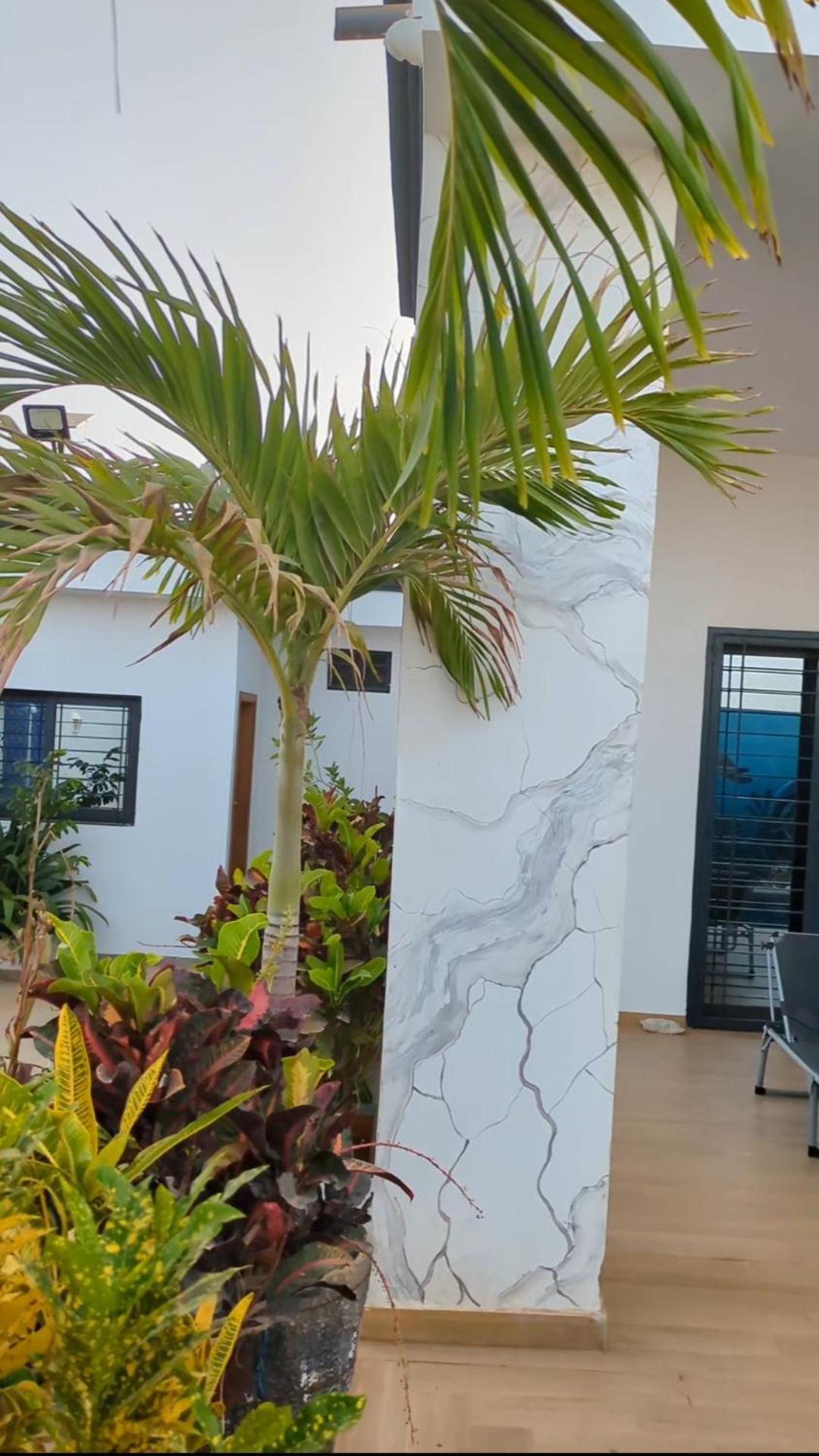 Villa Hawa, Decor Unique & Piscine ソモーヌ エクステリア 写真